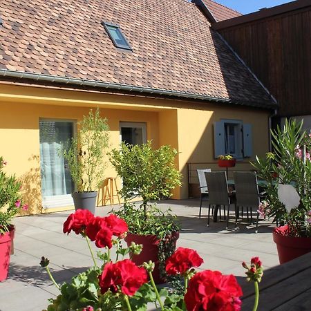 Gite Le Cep D'Or Alsace Saint-Hippolyte  Exterior foto