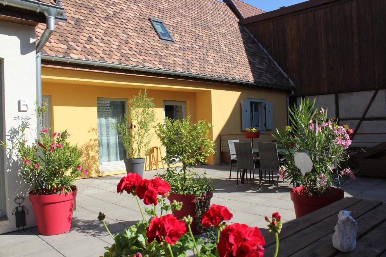 Gite Le Cep D'Or Alsace Saint-Hippolyte  Exterior foto